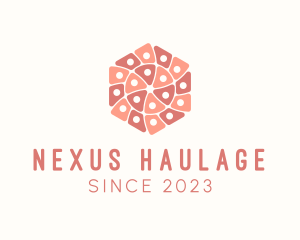 Geometric Hexagon Textile logo design