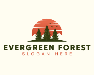 Adventure Pine Tree Woods logo