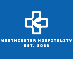 Medical Cross Hospital logo design