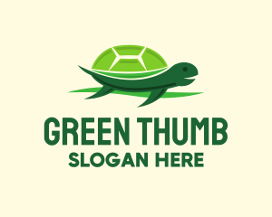 Cute Green Turtle logo design