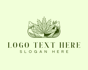 Cannabis Mushroom Capsule logo
