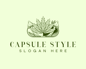 Cannabis Mushroom Capsule logo