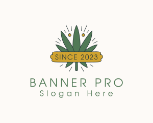 Alternative Medicine Banner  logo design