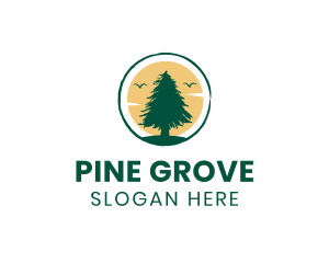 Sun Pine Tree logo design