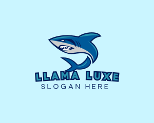 Marine Shark Sport logo design