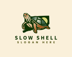 Connecticut Wildlife Turtle logo design