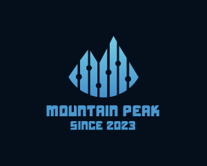 Digital Mountain Peak logo design