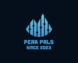 Digital Mountain Peak logo design