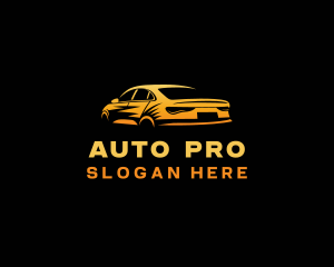Sports Car Automobile Detailing Logo