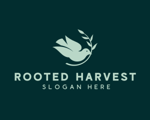 Holy Spirit Bird logo design