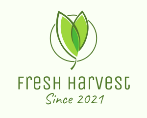 Organic Seedling Plant  logo design