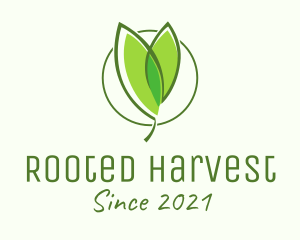 Organic Seedling Plant  logo design