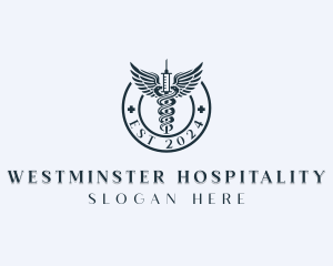 Pharmaceutical Medical Syringe  logo design