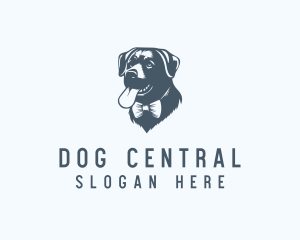 Animal Dog Vet logo design