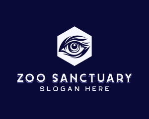 Hexagon Eye Safari logo design