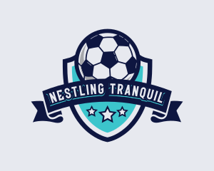 Sports Football Soccer logo design