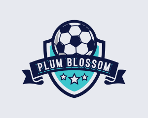 Sports Football Soccer logo design