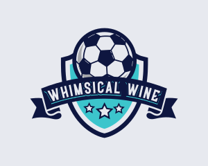 Sports Football Soccer logo design