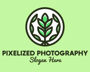 Organic Farming Emblem logo design