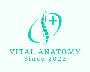 Medical Spine Therapy  logo