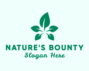 Nature Vegan Leaf logo design