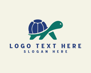 International Globe Turtle logo