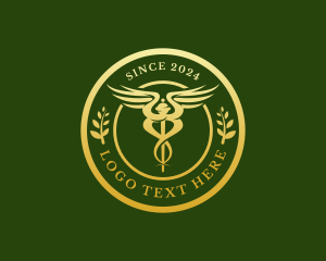 Wellness Hospital Doctor Logo