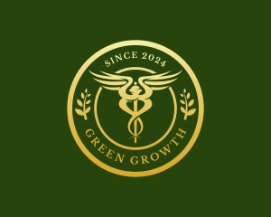 Wellness Hospital Doctor logo design