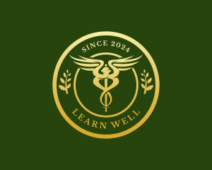 Wellness Hospital Doctor logo design