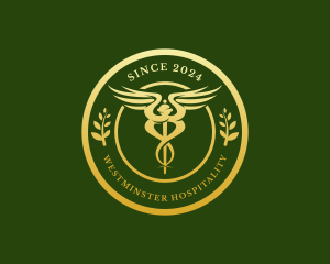 Wellness Hospital Doctor logo design