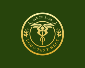 Wellness Hospital Doctor logo