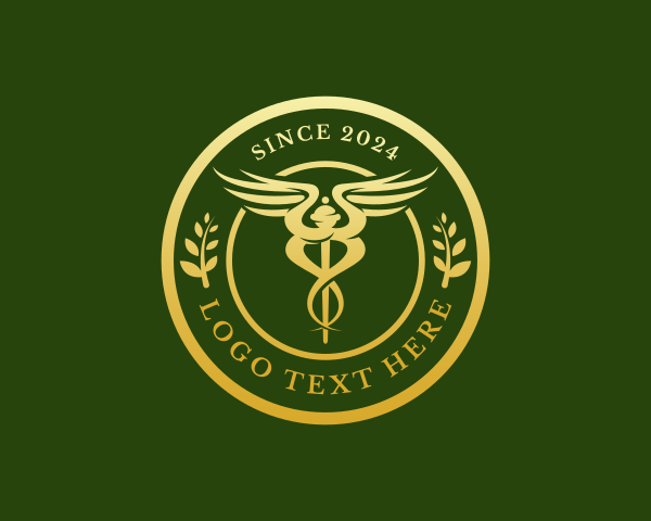Doctor logo example 2