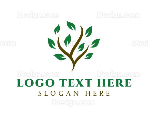 Natural Tree Farm Logo