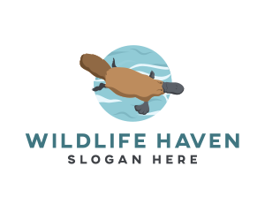 Wildlife Platypus Animal logo design