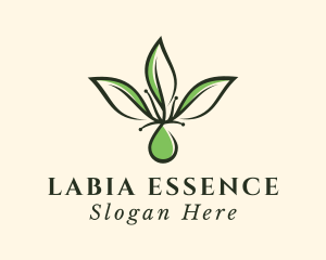 Herbal Leaf Extract logo design