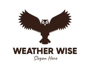 Brown Flying Owl logo design