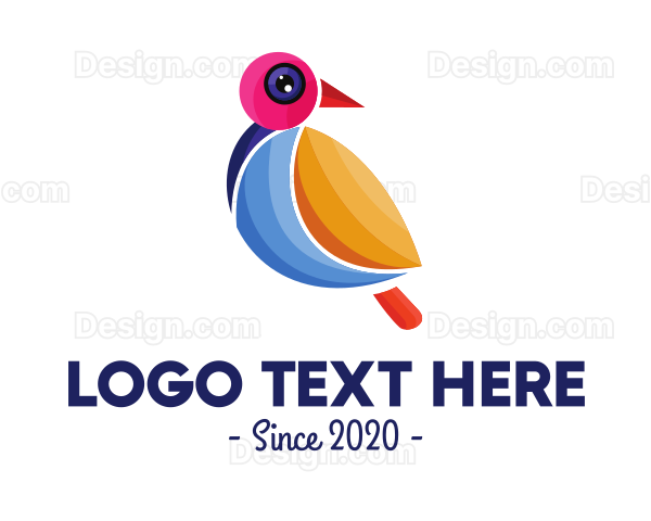 Colorful Pigeon Outline Logo