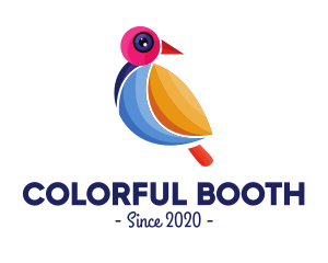 Colorful Pigeon Outline logo design