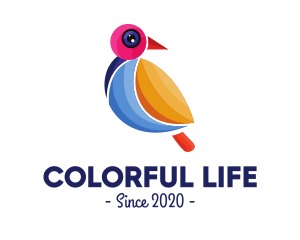 Colorful Pigeon Outline logo design