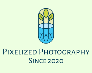 Herbal Medicinal Plant logo design