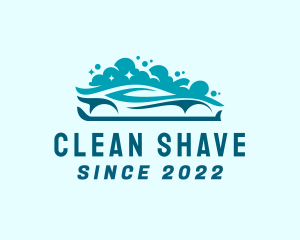 Car Cleaning Soap logo design