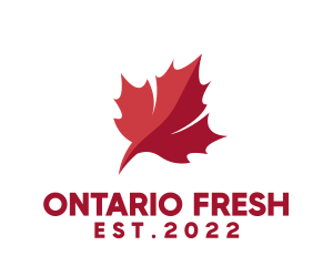 Canadian Leaf Flag  logo
