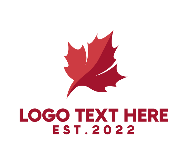 Toronto logo example 4