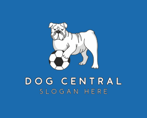 Bulldog Dog Soccer Ball logo design