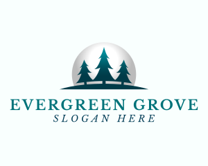 Eco Pine Tree Forest logo design