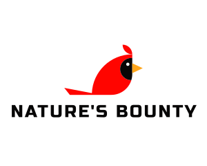 Nature Cardinal Bird logo design