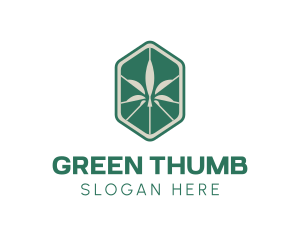 Hexagon Weed Cannabis logo design
