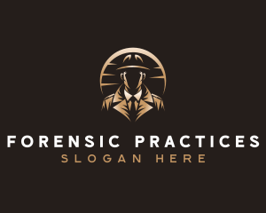 Anonymous Spy Investigator  logo