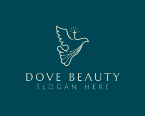 Dove Catholic Church logo