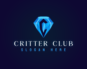 Premium Crystal Diamond logo design